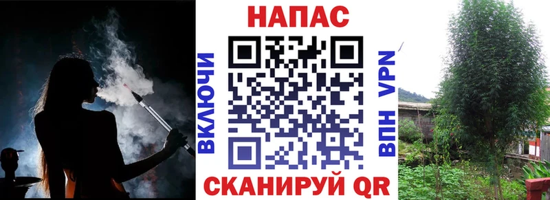 Как найти закладки Петрозаводск KRAKEN ТОР  А ПВП  Меф мяу мяу  Конопля 