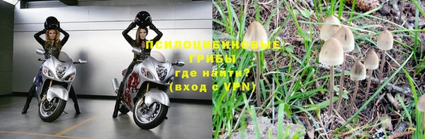спайс Каменногорск