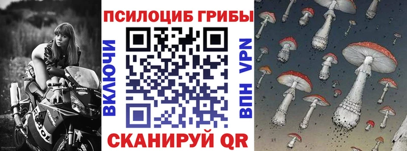цена   Петрозаводск  Галлюциногенные грибы MAGIC MUSHROOMS 